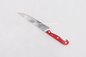 All-purpose stainless steel kitchen chef knife bloster handle kitchen knives super sharp paring knife