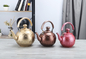 1L,1.5L,2L Best selling pink color whistling kettle with filter stainless steel new design tea coffee pot with infuser