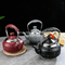 Multi Color Boil Hot Water Stain Gooseneck Tea Kettle 2L Kitchen Gadgets